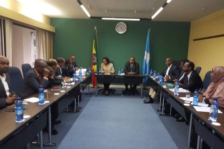 Ethiopian, Somali Joint Committee hold first meeting.